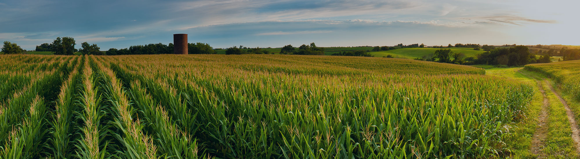 Agri-Finance